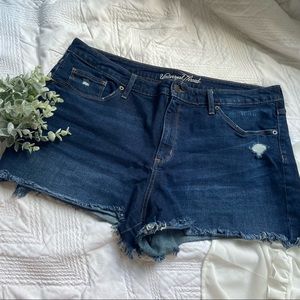 Dark Wash Denim Shorts
